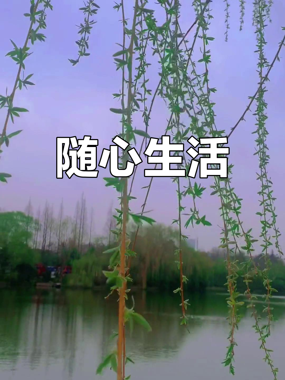 包含托马斯：我优先考虑在哪感到快乐自在，而且家人也需要金钱的词条