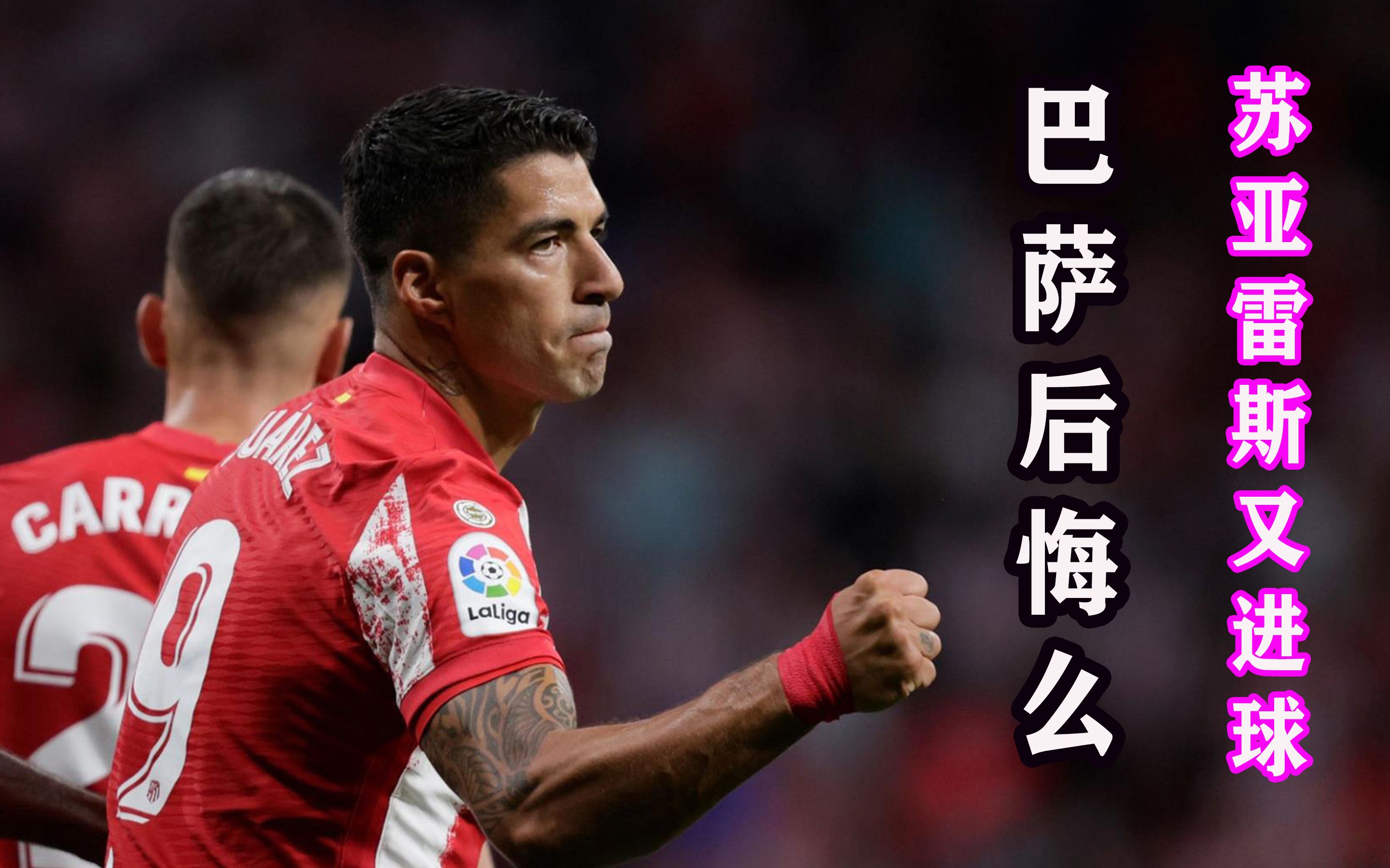 沃尔夫斯堡旧将贝纳利奥回归俱乐部并加入
