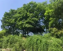 幕府山不敌立陶宛，客场拿分仍感惊喜